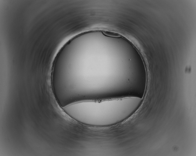 X0000101471296200807071210