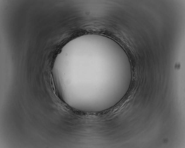 X0000101471297200807071209