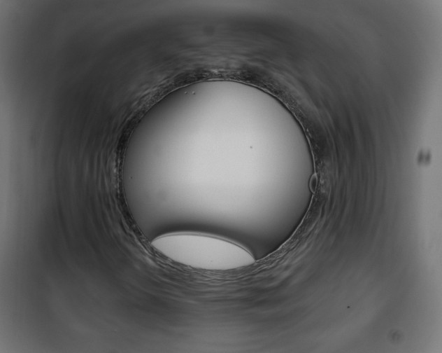 X0000101471298200807071209