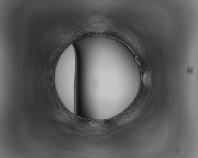 X0000101471299200807071209