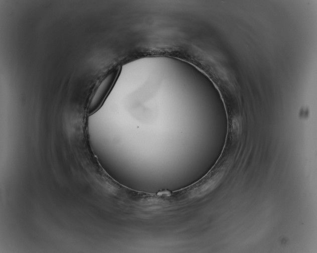 X0000101471300200807071209