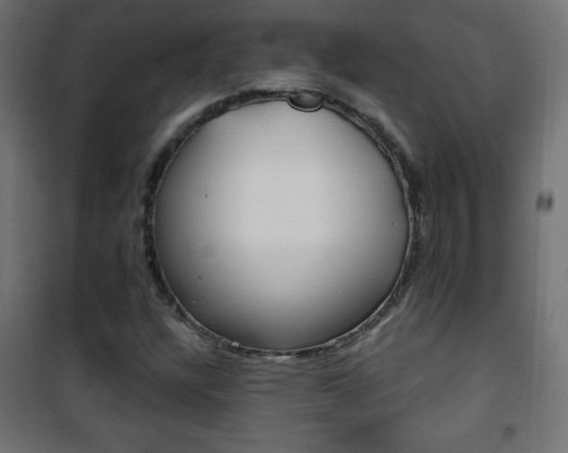 X0000101471304200807071209