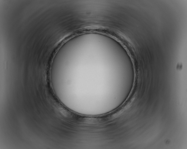 X0000101471305200807071209