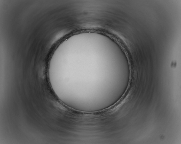 X0000101471306200807071209