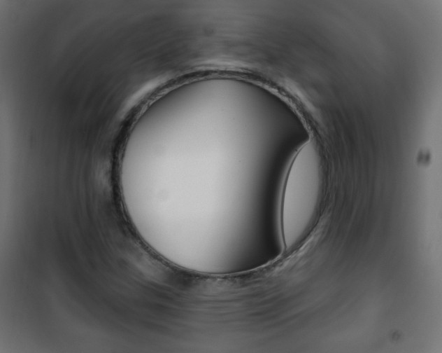 X0000101471307200807071209