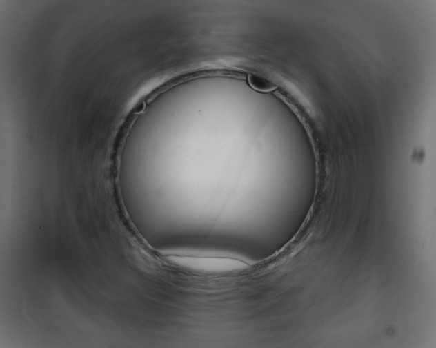 X0000101471308200807071209