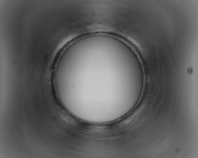 X0000101471309200807071209