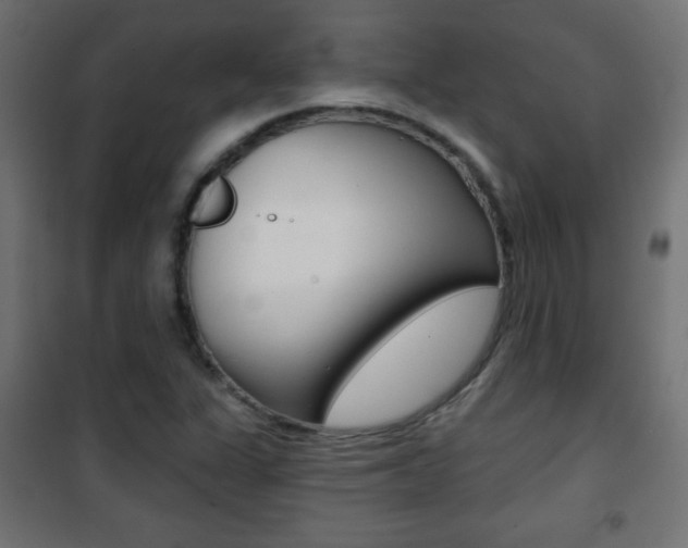 X0000101471311200807071209