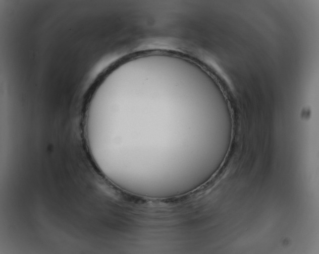 X0000101471312200807071209