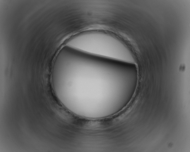 X0000101471313200807071209