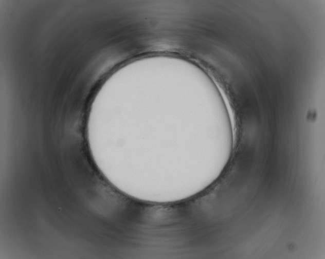 X0000101471314200807071209