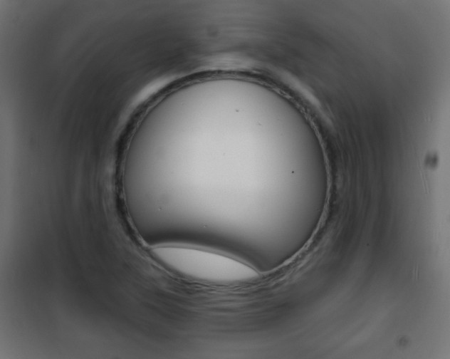 X0000101471315200807071209