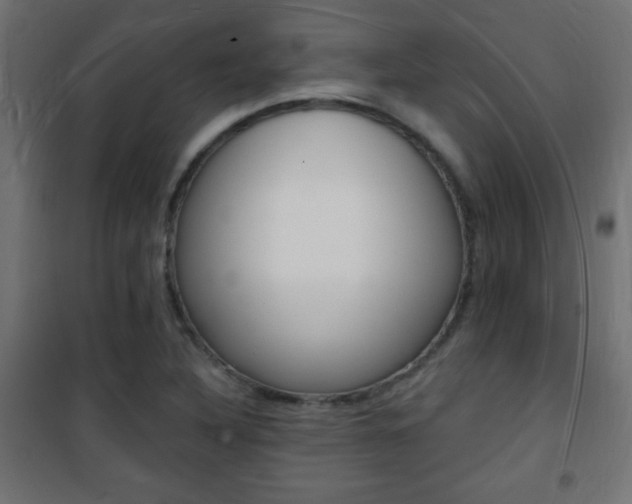 X0000101471316200807071209