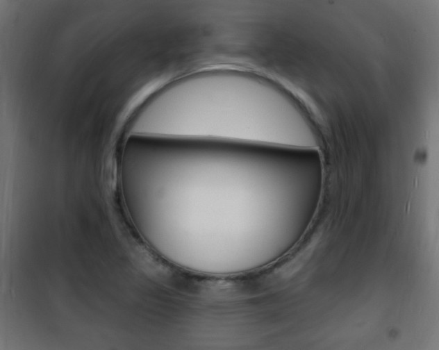 X0000101471317200807071210