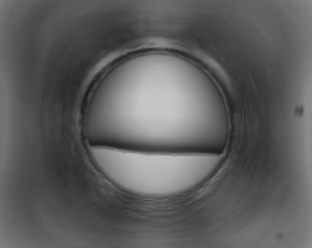 X0000101471318200807071210