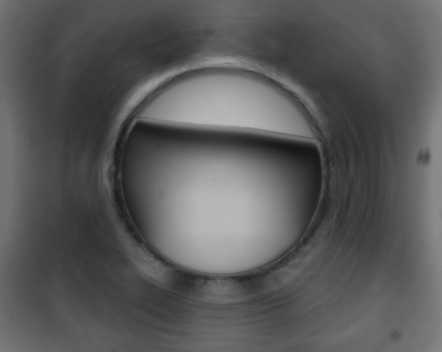X0000101471319200807071210