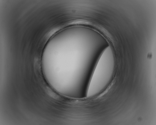 X0000101471321200807071210