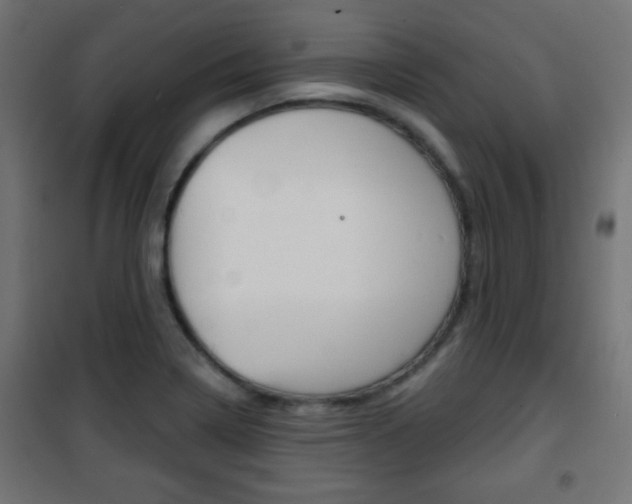 X0000101471322200807071210