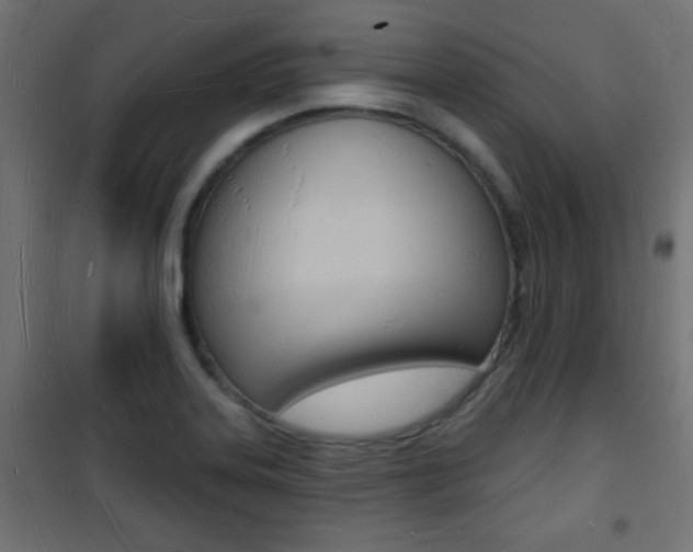 X0000101471323200807071210