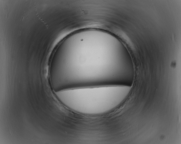 X0000101471324200807071210