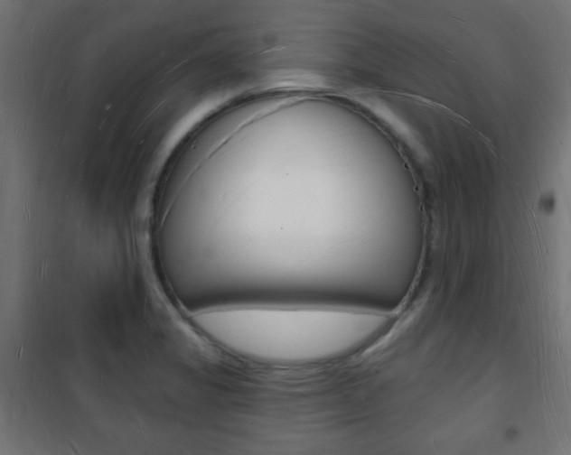 X0000101471325200807071210