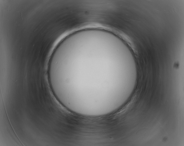 X0000101471326200807071210