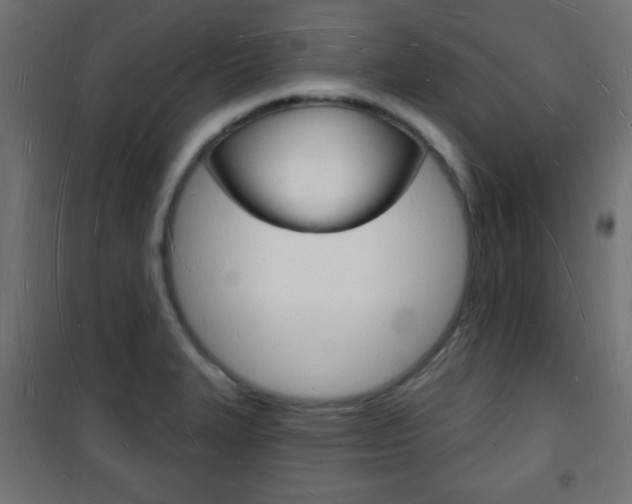 X0000101471327200807071210