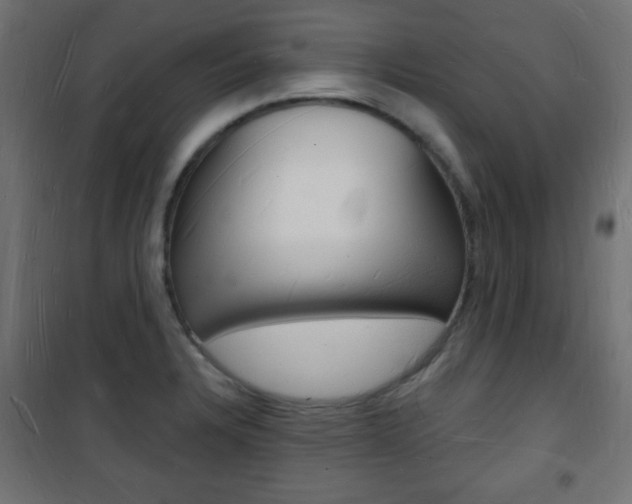 X0000101471328200807071210