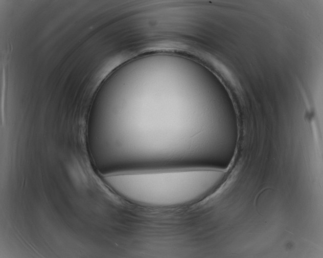 X0000101471329200807071210