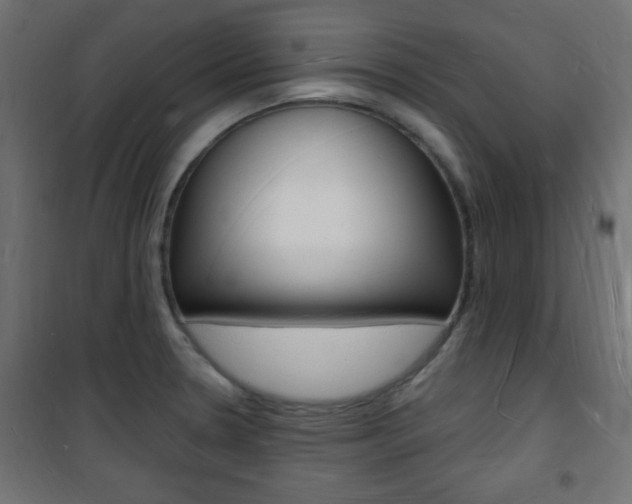 X0000101471330200807071210