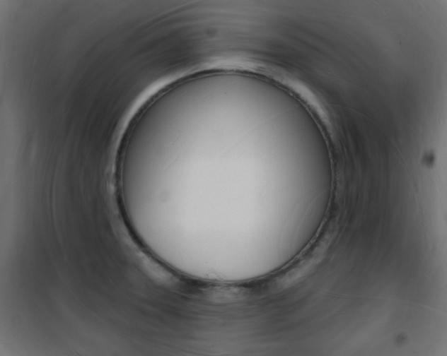 X0000101471331200807071210