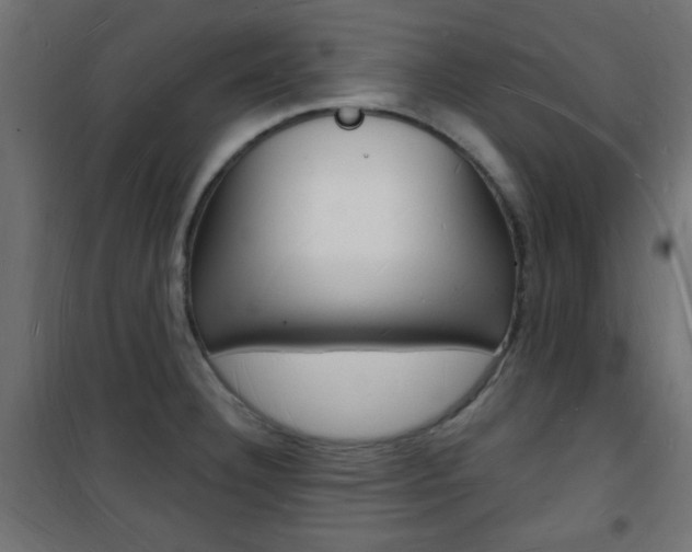 X0000101471332200807071210