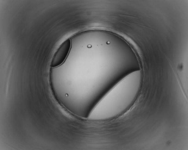X0000101471333200807071210