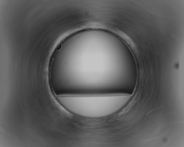 X0000101471334200807071210