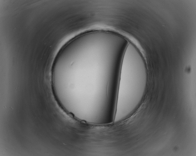 X0000101471335200807071210