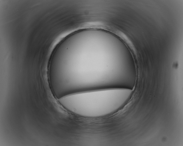 X0000101471336200807071210