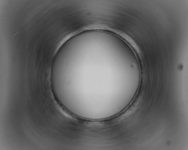 X0000101471337200807071210
