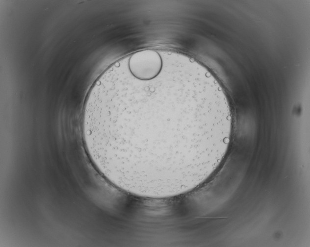 X0000101471338200807071210