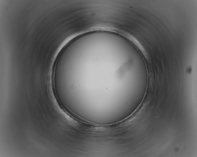 X0000101471339200807071210