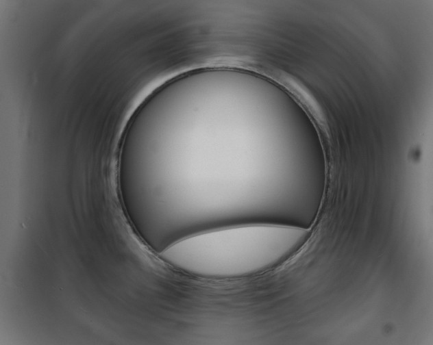 X0000101471340200807071210