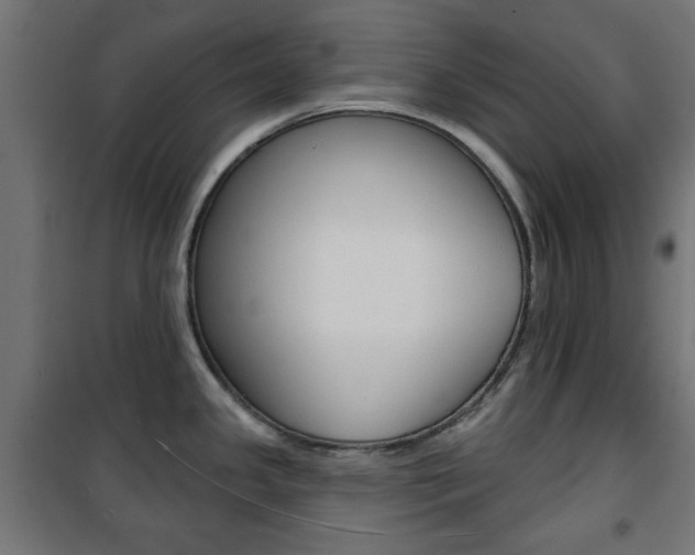 X0000101471341200807071210