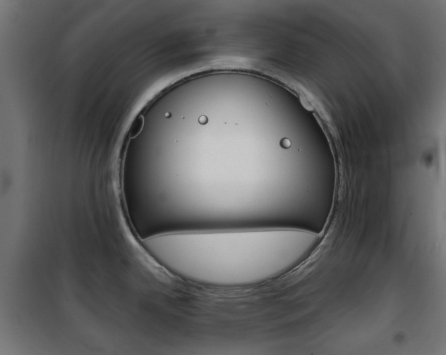 X0000101471342200807071210