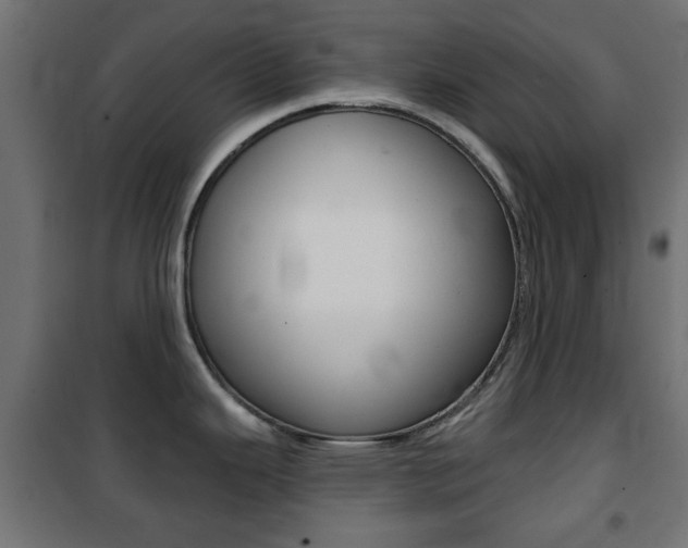 X0000101471343200807071210