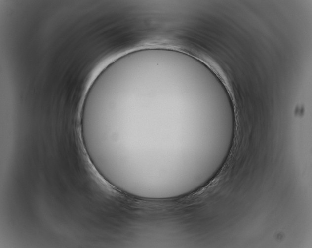 X0000101471344200807071210
