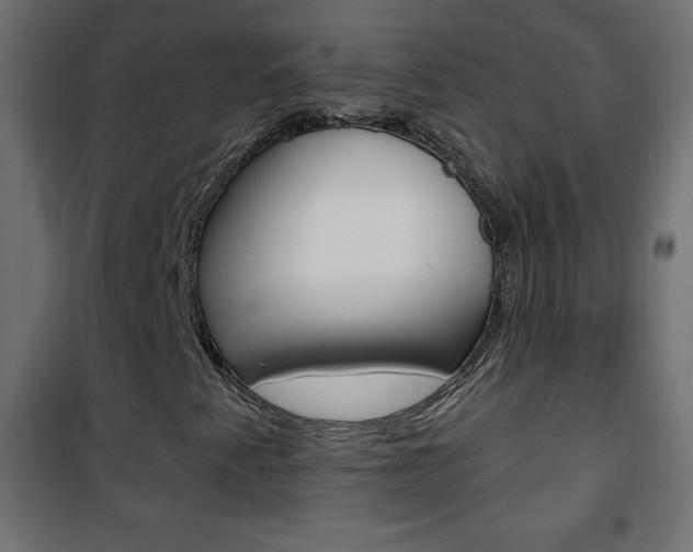 X0000101471345200807071209