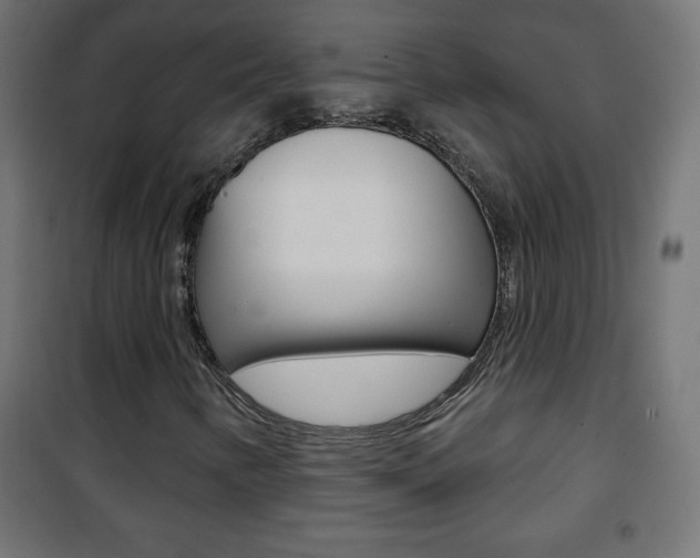 X0000101471346200807071209