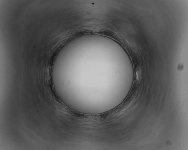 X0000101471347200807071209