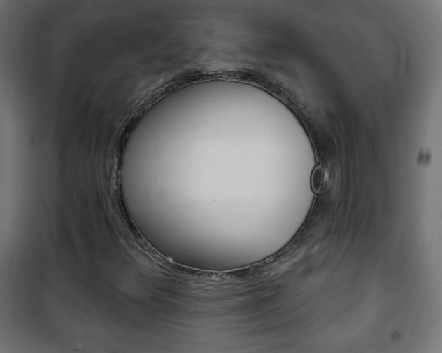 X0000101471348200807071209