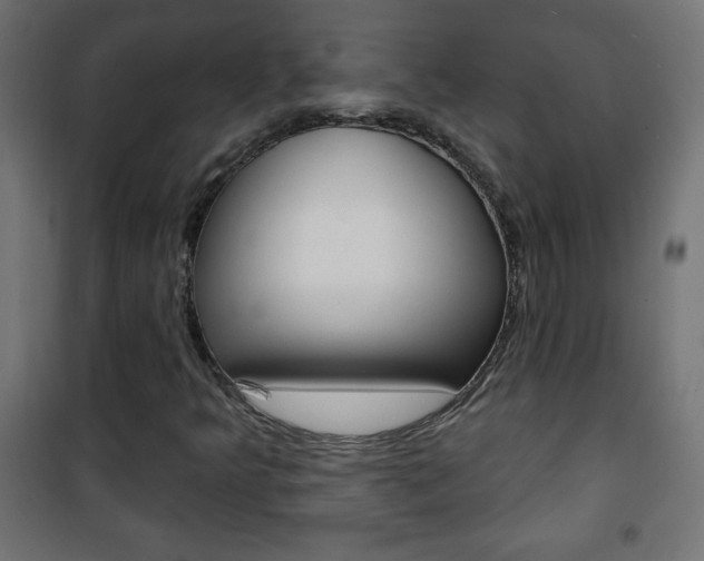 X0000101471349200807071209