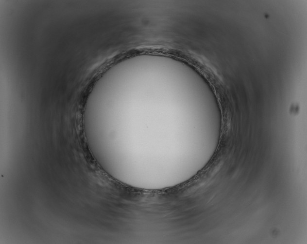 X0000101471350200807071209